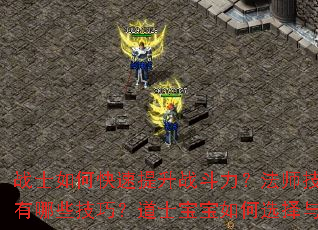 战士如何快速提升战斗力?法师技能连招有哪些技巧?道士宝宝如何选择与培养? 战士如何快速提升战斗力?法师技能连招有哪些技巧?道士宝宝如何选择与培养?