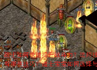 战士如何快速提升战斗力?法师技能连招有哪些技巧?道士宝宝如何选择与培养? 战士如何快速提升战斗力?法师技能连招有哪些技巧?道士宝宝如何选择与培养?