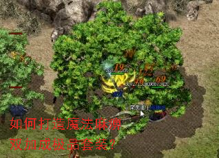 ��δ���ħ�����˫�ӳɼ�Ʒ��װ��