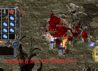 ����֩���ڸ��Ŵ����в����δ���