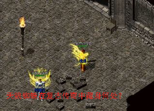 ����֩���ڸ��Ŵ����в����δ���