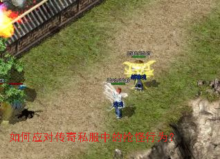 ���Ӧ�Դ���˽���е�������Ϊ��