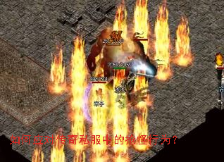 ���Ӧ�Դ���˽���е�������Ϊ��