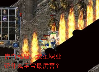 ����˽������ʥְҵ��ʲô������������