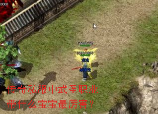 ����˽������ʥְҵ��ʲô������������