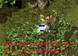 ����˽��������ο�������ս��������װ����ȡ��������������