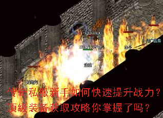 ����˽��������ο�������ս��������װ����ȡ��������������