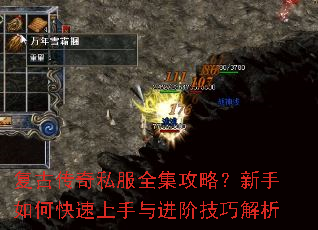 ���Ŵ���˽��ȫ�����ԣ�������ο�����������׼��ɽ���