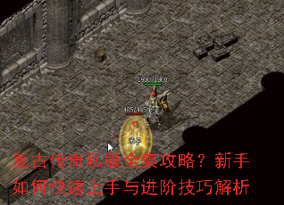 ���Ŵ���˽��ȫ�����ԣ�������ο�����������׼��ɽ���