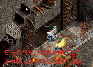 ���Ŵ���˽��ȫ�����ԣ�������ο�����������׼��ɽ���