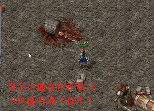 ħ��֮Ѫ�ڴ���˽���о�������Щ���ã�