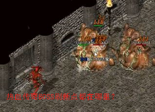 ��Ѫ����BOSSˢ�µ㶼�����