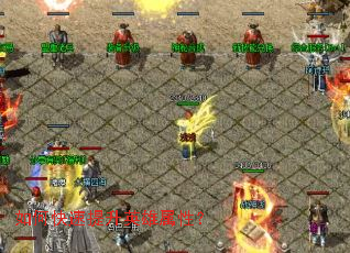 ��ο�������Ӣ�����ԣ�