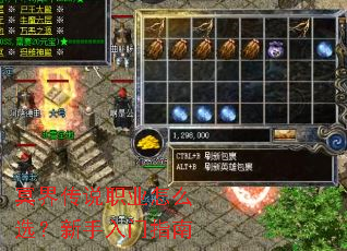 ڤ�紫˵ְҵ��ôѡ����������ָ��