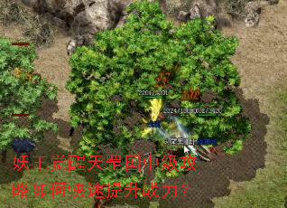 ������������м�������ο�������ս����