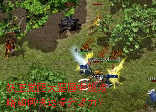 ������������м�������ο�������ս����