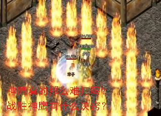 ��ӥ�����ô�Ѵ���սʤ��ӥ��ʲô���ϣ�