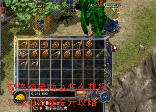 ˫������ѫ����ô��ã�����Ч����������