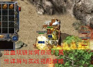 ��Ѫ������λ�ȡ�����������ʵս���乥��