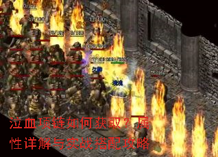 ��Ѫ������λ�ȡ�����������ʵս���乥��