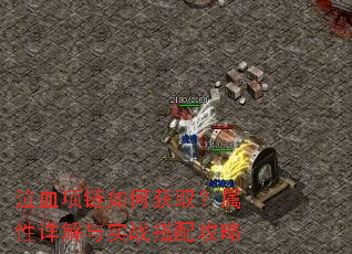 ��Ѫ������λ�ȡ�����������ʵս���乥��