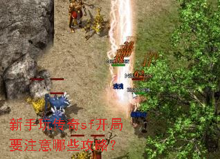 �����洫��sf����Ҫע����Щ���ԣ�