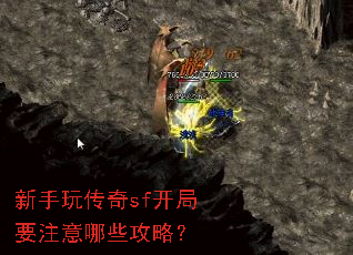 �����洫��sf����Ҫע����Щ���ԣ�