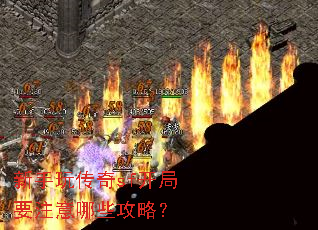 �����洫��sf����Ҫע����Щ���ԣ�