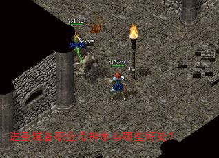 ��ʥ���ְҵ����ˮ����Щ�ô���