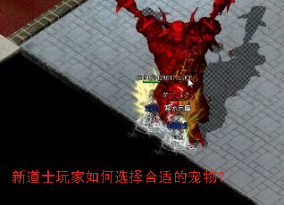 �µ�ʿ������ѡ����ʵĳ��