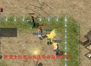 �µ�ʿ������ѡ����ʵĳ��