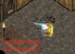 ��Ѫ���������ָ��Щ�������䣿