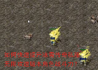 ��ο���������ѩ����˽�����޹��ٰ汾��ɫս������