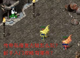 传奇私服复古版怎么玩?新手入门攻略有哪些? 传奇私服复古版怎么玩?新手入门攻略有哪些?