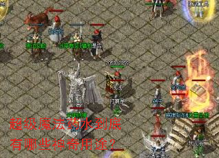 超级魔法药水到底有哪些神奇用途? 超级魔法药水到底有哪些神奇用途?