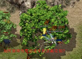 如何获得传奇游戏中的顶戴花翎? 如何获得传奇游戏中的顶戴花翎?