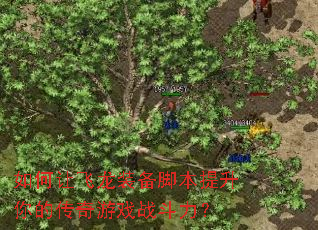 如何让飞龙装备脚本提升你的传奇游戏战斗力? 如何让飞龙装备脚本提升你的传奇游戏战斗力?
