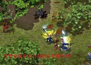 ����˽������ʯ����Щ�ؼ����ã�