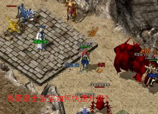 传奇道士宝宝如何快速升级? 传奇道士宝宝如何快速升级?