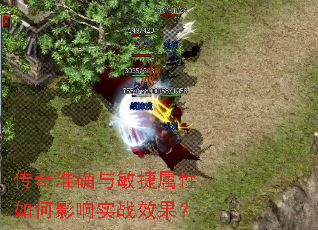 传奇准确与敏捷属性如何影响实战效果? 传奇准确与敏捷属性如何影响实战效果?