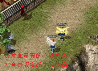 ��ʦѪ����Ĳ������𣿺ϻ���ʵս����ָ��