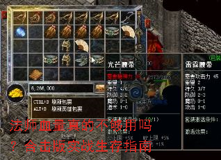 ��ʦѪ����Ĳ������𣿺ϻ���ʵս����ָ��