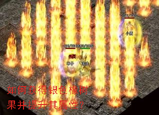 ��λ����ɫ�����������������ԣ�