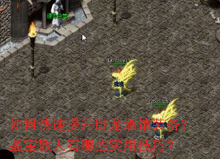 ��ο������������ƹ�װ��������ɢ������Щʵ�ü��ɣ�