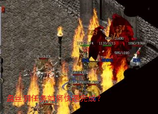 ��˿��������ο�����ɣ�