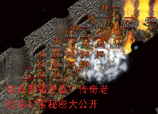 �Ȱ�Ұ�����㣿��������Ҵ����ܴ󹫿�