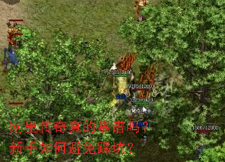 ���ﴫ����Ŀ�����������α���ȿӣ�