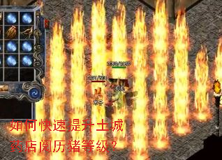 ��ο�����������ҩ���������ȼ���