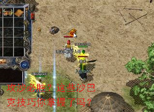 ��ɳ��ʤ����Щɳ�Ϳ˼�������������