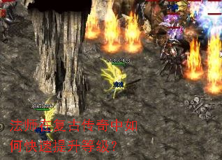 ��ʦ�ڸ��Ŵ�������ο��������ȼ���